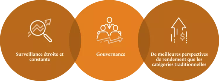 brainvest_diferenciais_alternatives-fr